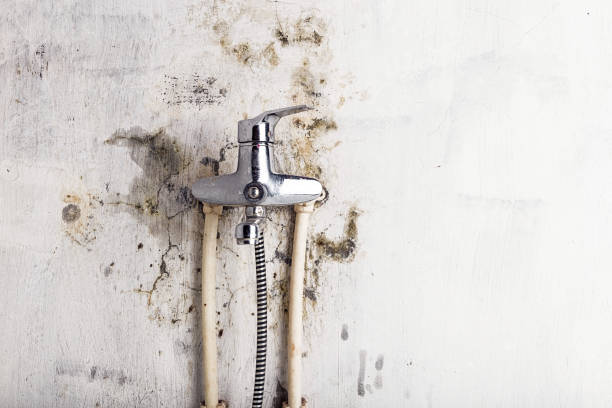 Best Mold Testing  in Morada, CA