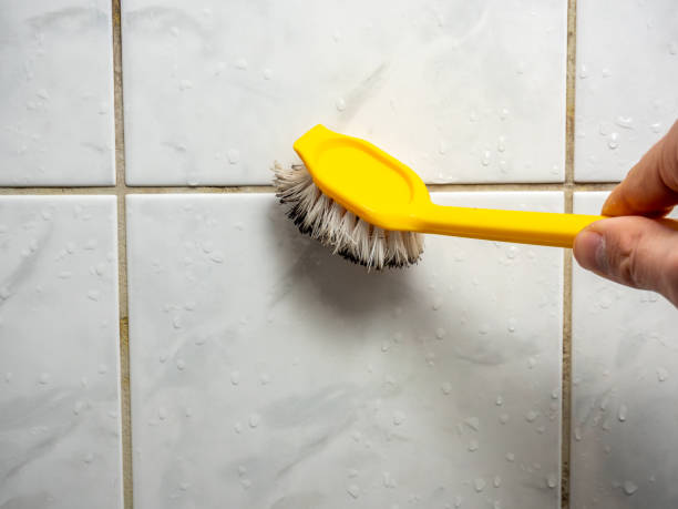 Best Mold Removal Process  in Morada, CA