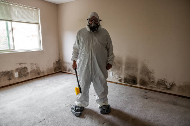 Best Local Mold Removal Service  in Morada, CA